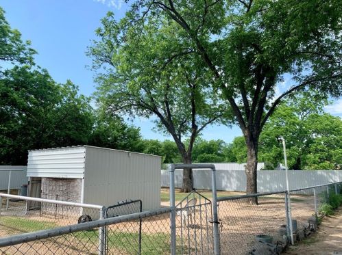 411 Pine St, Nocona TX 76255-1412 exterior