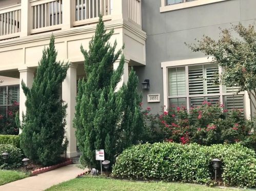 10551 Steinbeck Ln, Irving TX  75063-5438 exterior