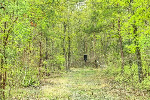 4488 Pond Town Rd, Brunson SC  29911-3801 exterior