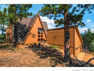 180 Brittany Dr, Twin Rock, CO 80816-9237