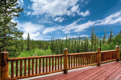 866 Derbishire Rd, Fairplay, CO 80456-9745