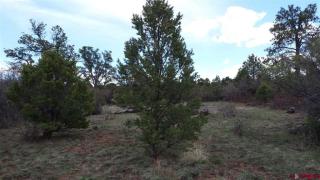 1056 Juniper Rd, Ridgway, CO