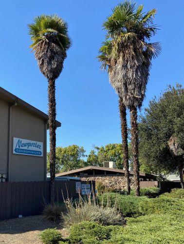 805 Tully Rd, Modesto CA  95350-5860 exterior