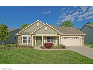 6672 Spring Gardens Dr, Concord Township, OH 44060-8727