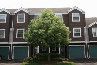 148 Bonney Ct, Bridgewater, NJ 08807-2090