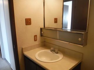 1126 Bradley Sq, Sparks NV  89434-1608 exterior