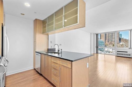 911 Hudson Park, Edgewater, NJ 07020-1528