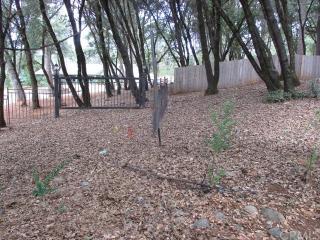 1859 June Way, Paradise, CA 95969-2904