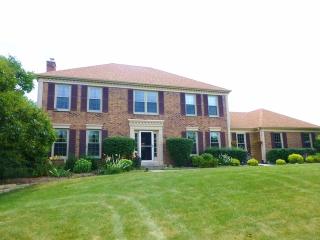 20405 Dover Ct, Hoffman Estates IL  60010-7203 exterior