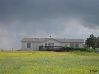 850 Kit Carson Trl, Cotopaxi, CO 81223-9756