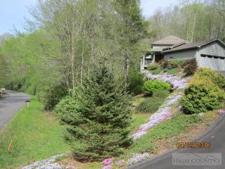 509 Twin Rivers Dr, Boone, NC 28607-6632