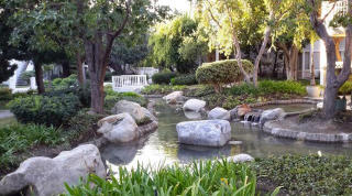 22230 Vermont Ave, Torrance, CA 90502-2150