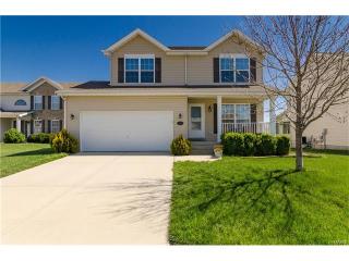 2414 Cypress Knoll Ct, Belleville, IL 62221-7041