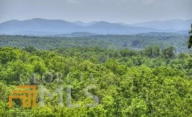 358 Granny Hughes Rd, Mineral Bluff, GA 30559-0022