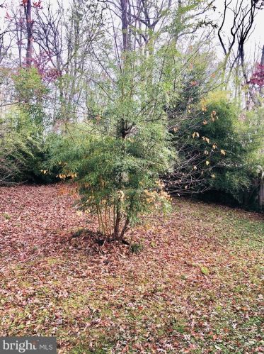 19129 Windsor Rd, Triangle VA  22172-2423 exterior