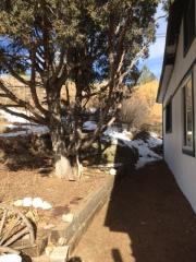 16764 Pine Valley Rd, Pine, CO 80470-8808