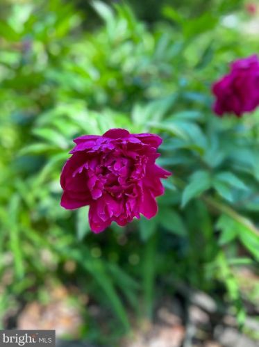 103 Cv Vw Trl, Severna Park MD 21146-4614 exterior