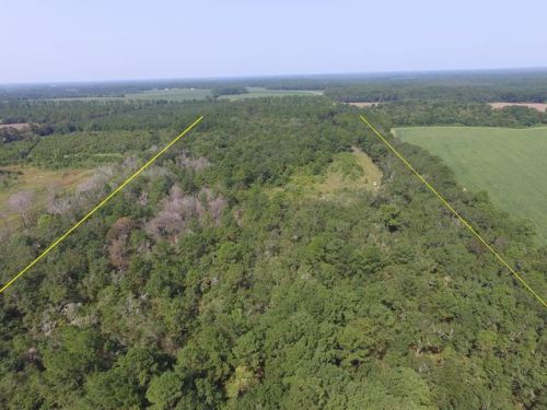 7632 Airline Rd, Pavo, GA 31778-3755