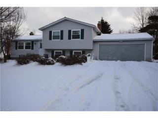 6399 Ledge Lake Ct, Concord Township, OH 44077-9749