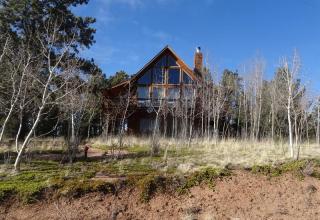 21 Blue Spruce Rd, Divide, CO 80814-7723