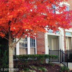 633 Pelican Ave, Gaithersburg, MD 20877-2993