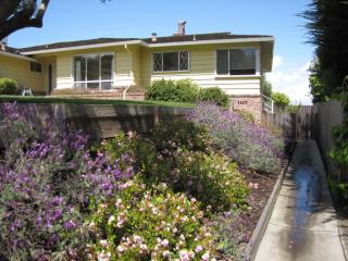 274 Loyola Dr, Millbrae, CA 94030-2930