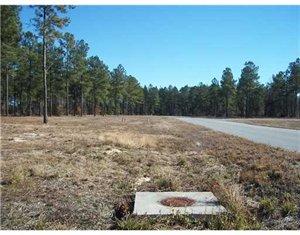 209 Blackwater Way, Stillwell, GA 31329