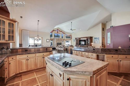 450 Black Bear Trl, Woodland Park CO 80863-8941 exterior