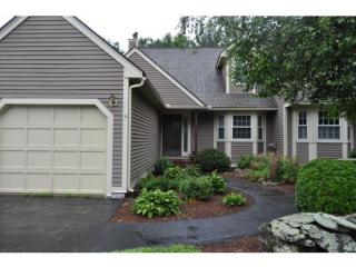 20 Villager Rd, Chester, NH 03036-4035