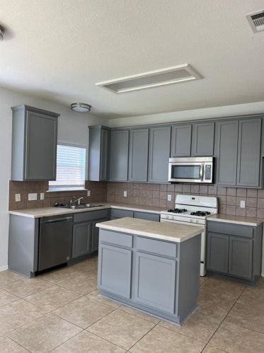 11229 Crazy Well Dr, Austin TX  78717-4494 exterior