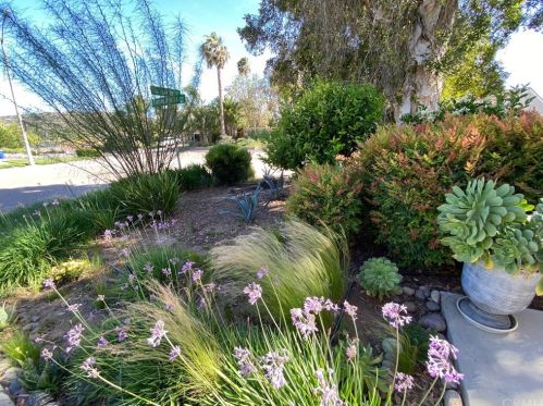 6099 Rio Valle Dr, Bonsall, CA 92003-3508