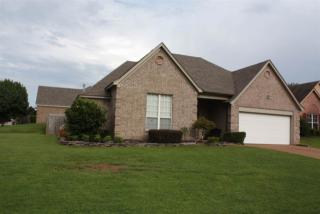 5 Bluffwood Cv, Somerville, TN 38060-6082