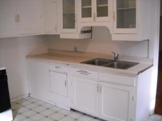 232 Curtice St, Saint Paul MN  55118-5710 exterior