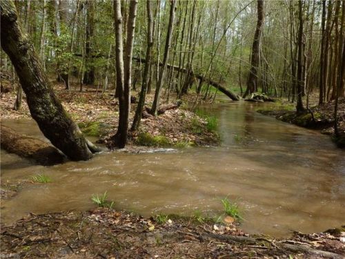 297 Burt Place Ln, Wakefield, VA 23888-2811