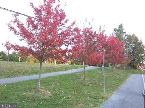 13908 Gate Dr, Silver Spring MD 20906-2208 exterior