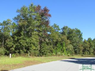109 Mingledorff Ct, Stillwell, GA 31329-5093
