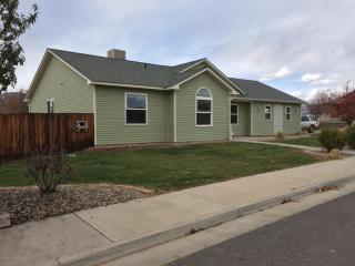 1845 Birch Ave, Rulison, CO 81650