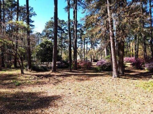 1136 Enlow Ct, St Paul, SC 29148-9643