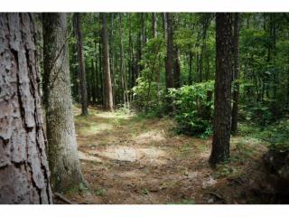 245 Wildwind Trce, Dallas, GA 30132-9077