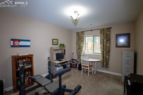 1174 Ptarmigan Dr, Woodland Park CO 80863-8005 exterior