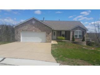 3078 Sand Dollar Ct, Horine, MO 63070-2615