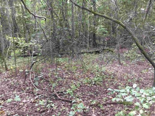 1200 Col Hough Rd, Clarkesville, GA 30523-0014