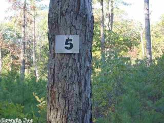 5 Tannenbaum Rd, Wolf Bayou, AR 72530-9379
