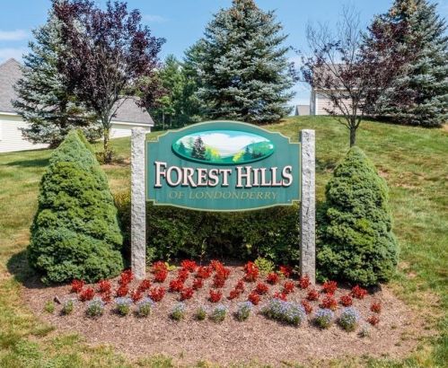 38 Sawgrass Cir, Londonderry, NH 03053-2598