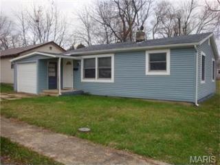 522 Mill St, Spring Bluff, MO 63080-1827