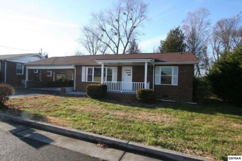 703 Chilhowee Dr, Pigeon Forge, TN 37862-4305