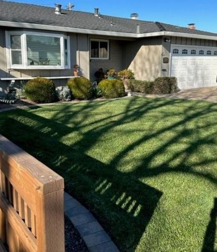 1555 Colmery Ln, San Jose, CA 95118-1606