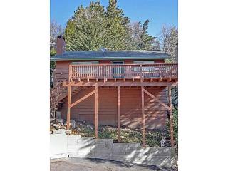 1209 Bear Springs Rd, Rimforest, CA 92378-0019