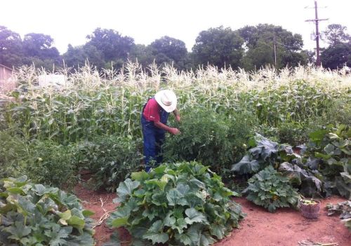 8959 Hilltop Rd, Argyle TX 76226-5012 exterior