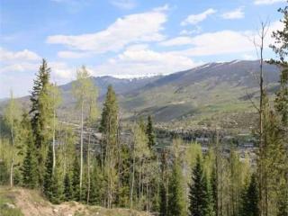 432 Lakeview Dr, Silverthorne, CO 80498-8531